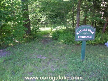 Peck's Lake Museum Nature Trail Sign